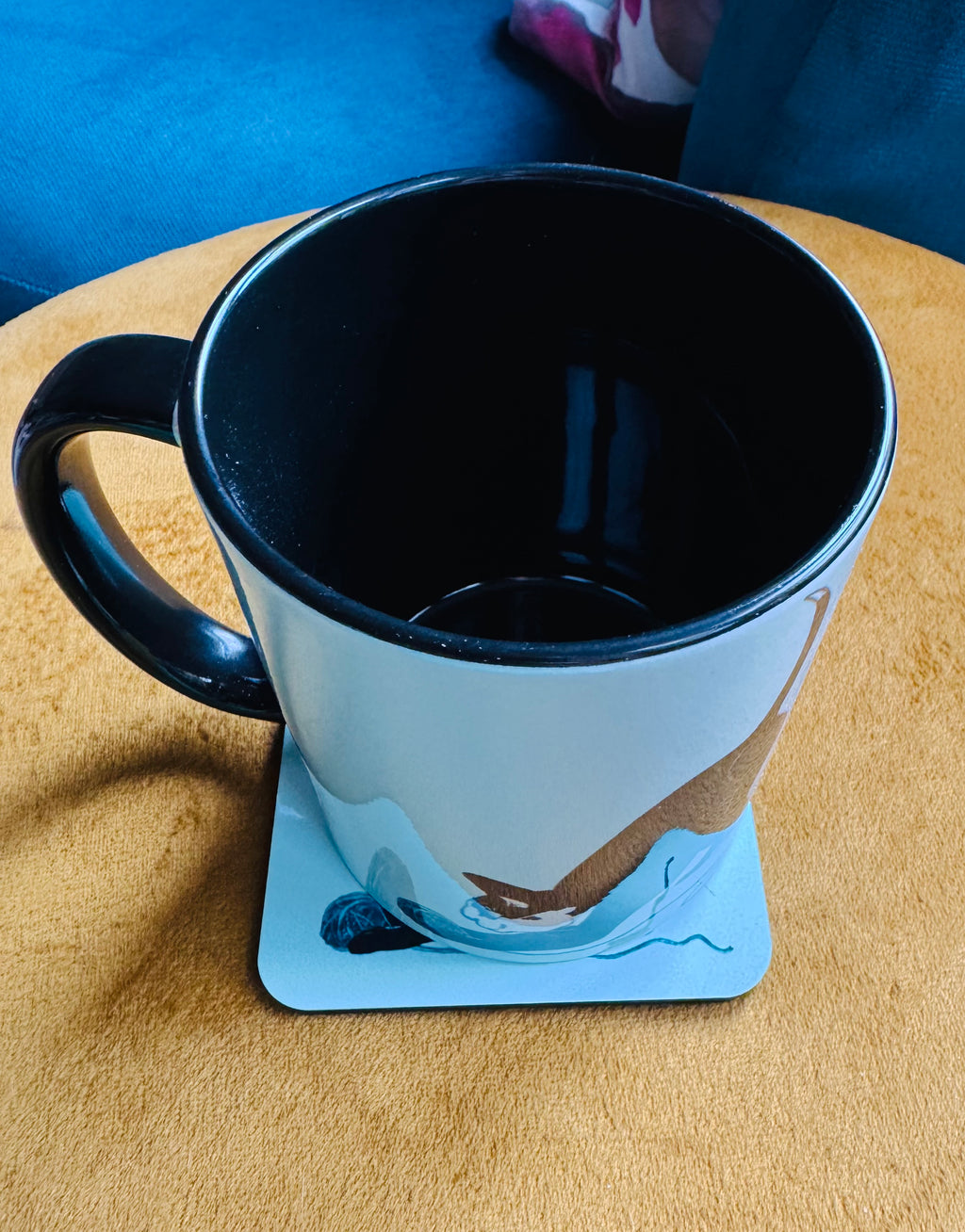 Catford cat coffee mug with black handle and interior